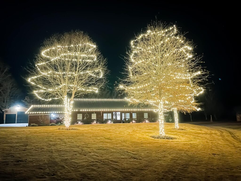 Kennesaw GA Christmas Light Installation Near Me