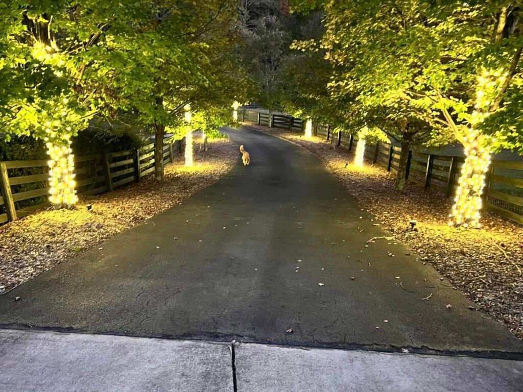 Marietta GA Holiday lights on driveway
